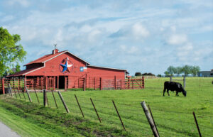 a red farmhouse sits in a green field as a cow grazes on grass in the foreground