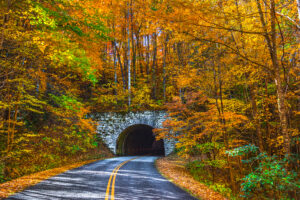a tunnel along the Blue Ridge Parkway near Banner Elk NC, pictured at fall as the leaves are bright orange, red, and yellow