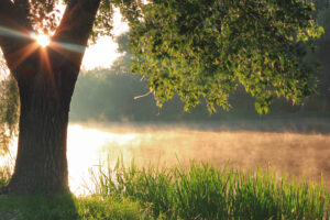 the morning breaks over a pond outside of Linville NC